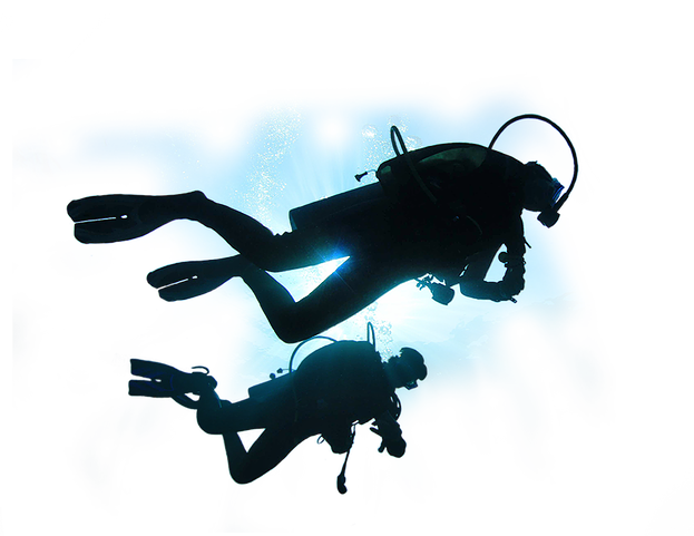 Water Sports