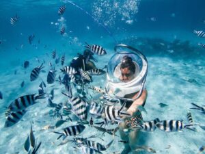 Sea Walk Activity In Havelock Island