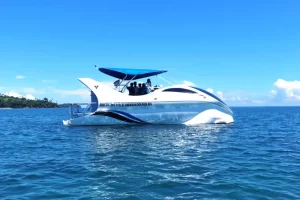 Dolphin Glass Boat Activity In Havelock Island
