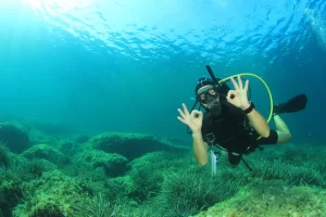 Shore Diving Activity In Havelock Island