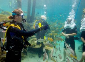 Sea Walk Activity In Andaman